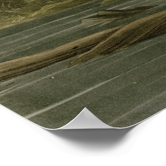 Louisiana Heron Poster (Ecke)