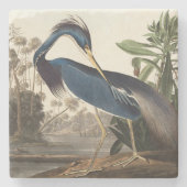Louisiana Heron von Audobon Stone Untersetzer (Vorderseite)