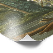 Louisiana Heron von John James Audubon Fotodruck (Ecke)