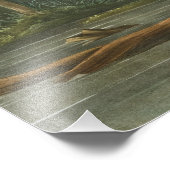 Louisiana Heron von John James Audubon Fotodruck (Ecke)