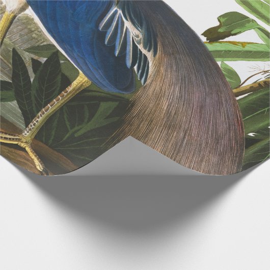 Louisiana Heron von John James Audubon Geschenkpapier (Ecke)