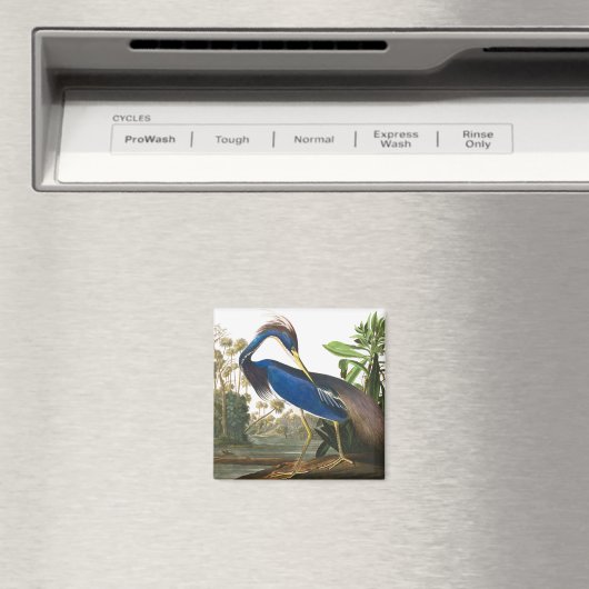 Louisiana Heron von John James Audubon Magnet (In Situ (Geschirrspüler))