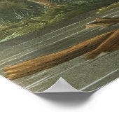 Louisiana Heron von John James Audubon Poster (Ecke)