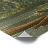 Louisiana Heron von John James Audubon Poster (Ecke)