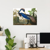 Louisiana Heron von John James Audubon Poster (Heimbüro)