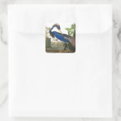 Louisiana Heron von John James Audubon Quadratischer Aufkleber (Tasche)
