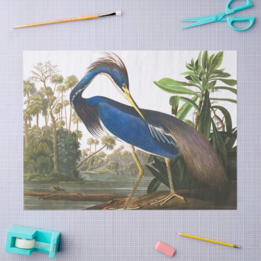 Louisiana Heron von John James Audubon Seidenpapier (Basteln)