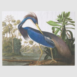Louisiana Heron von John James Audubon Seidenpapier
