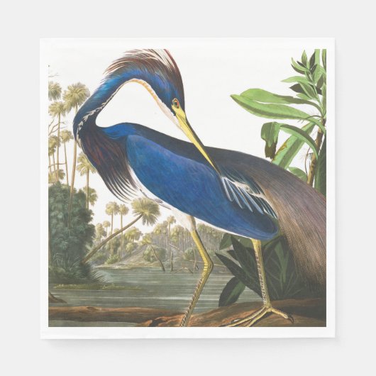 Louisiana Heron von John James Audubon Serviette (Vorderseite)