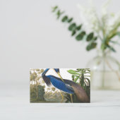 Louisiana Heron von John James Audubon Visitenkarte (Stehend Vorderseite)