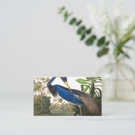 Louisiana Heron von John James Audubon Visitenkarte (Stehend Vorderseite)