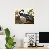 Louisiana Heron von Vögeln Amerikas (1827) Poster (Heimbüro)