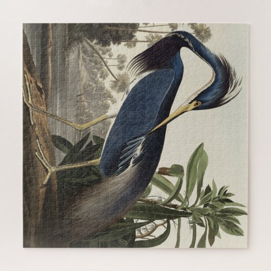 Louisiana Heron von Vögeln Amerikas Puzzle (Horizontal)