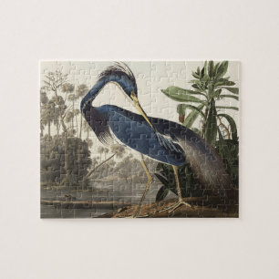 Louisiana Heron von Vögeln Amerikas Puzzle