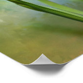 Louisiana Iris Poster (Ecke)