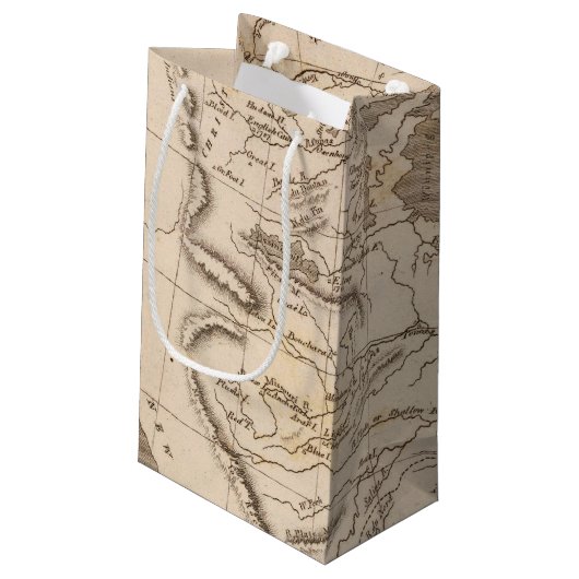 Louisiana-Karte durch Arrowsmith Kleine Geschenktüte (Rückseite Schrägansicht)