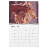 Louisiana-Karten und Fotografie-Kalender Kalender (Feb 2026)