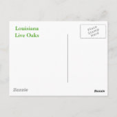 LOUISIANA LIVE OAK BÄUME POSTKARTE (Rückseite)