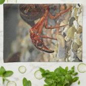 Louisiana-Panzerkrebse Handtuch (Gefaltet)