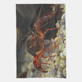 Louisiana-Panzerkrebse Handtuch (Vertikal)