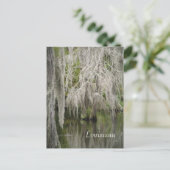 Louisiana Postcard Postkarte (Stehend Vorderseite)
