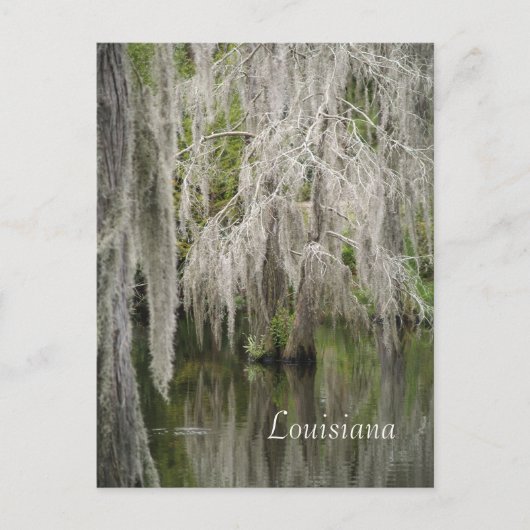 Louisiana Postcard Postkarte (Vorderseite)
