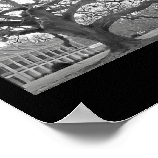 Louisiana Poster (Ecke)