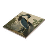 Louisiana-Reiher Fliese (Seite)