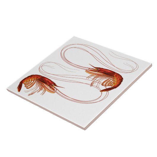 Louisiana Shrimp Fliese (Seite)