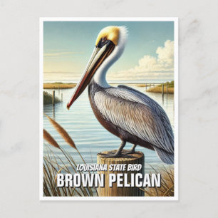Louisiana Staat Bird Brown Pelican Postkarte