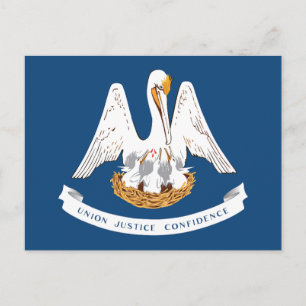 Louisiana Staatsflagge Pelikan Staatsmotto Souveni Postkarte