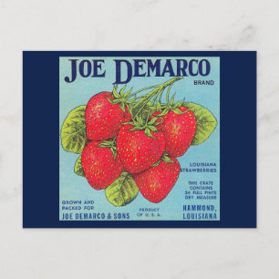 Louisiana Stawberry Crate Label Postkarte