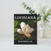 Louisiana Süd Magnolia Postkarte (Stehend Vorderseite)