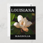 Louisiana Süd Magnolia Postkarte (Vorne/Hinten)