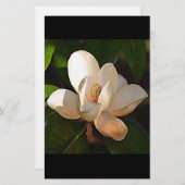 Louisiana Süd-Magnolien Briefpapier (Vorne/Hinten)