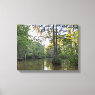 Louisiana-Sumpf Leinwanddruck