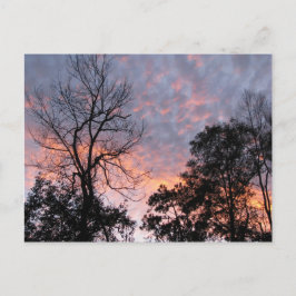Louisiana Sunset Postkarte