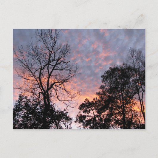 Louisiana Sunset Postkarte (Vorderseite)