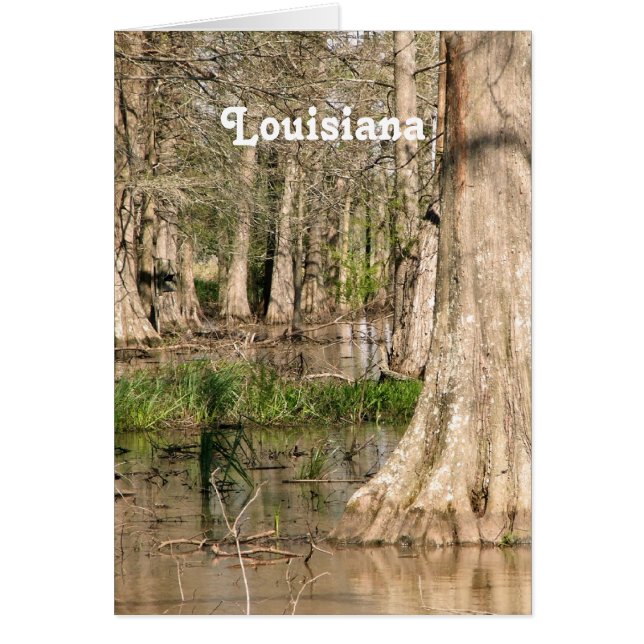 Louisiana Swamp (Vorne)