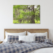 Louisiana Swamp Cypress Leinwanddruck (Insitu (Schlafzimmer))