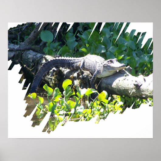 Louisiana Swamp Gator Hunter Poster (Vorne)