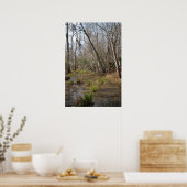 Louisiana Swamp Poster (Küche)