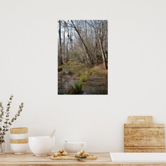 Louisiana Swamp Poster (Küche)