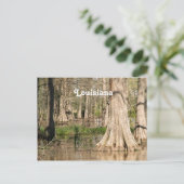 Louisiana Swamp Postkarte (Stehend Vorderseite)