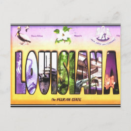 Louisiana Vintag Postcard Postkarte