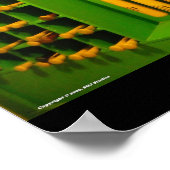 Louisville Sluggers Poster (Ecke)
