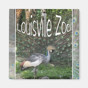 LOUISVILLE-ZOO-TIERAufstellungs-KRAN, PFAU Magnet