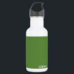 Lounge grüne Farbe Edelstahlflasche<br><div class="desc">Lounge grüne Farbe</div>