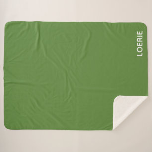 Lounge grüne Farbe Sherpadecke