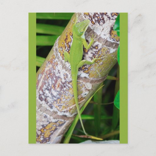 Lounge Lizard Green Gecko Postkarte (Vorderseite)